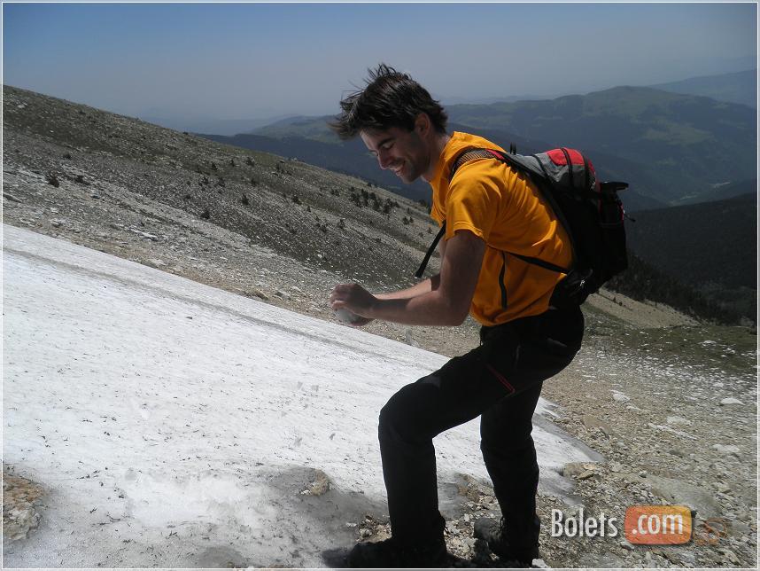 Buscant bolets de vallter a la congesta de la llosa